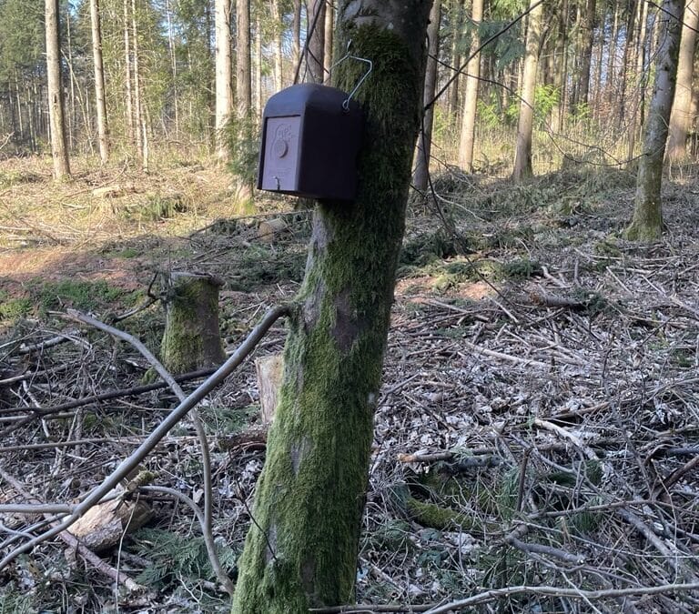 Neue Brutkästen in Saarwellingen